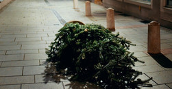 Weg mit dem Weihnachtsbaum - So geht es richtig!