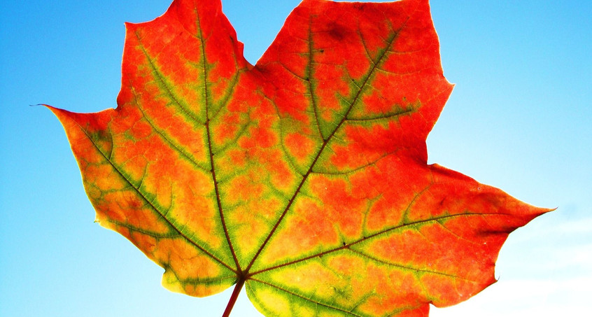 Sonniger aber kühler Feiertag voraus