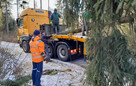 Weihnachtsbaum vor dem Brandenburger Tor kommt aus Thüringen