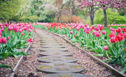 Im Garten durch die Coronazeit