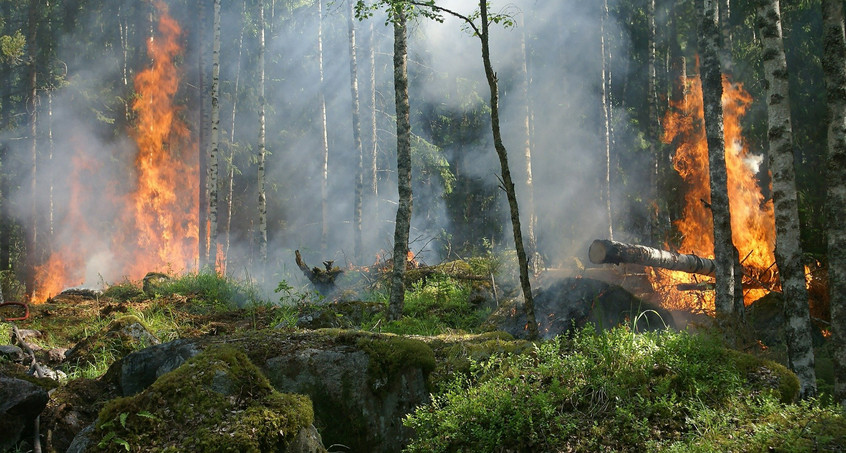 Waldbrand noch nicht unter Kontrolle - Flammen greifen auf Moor über