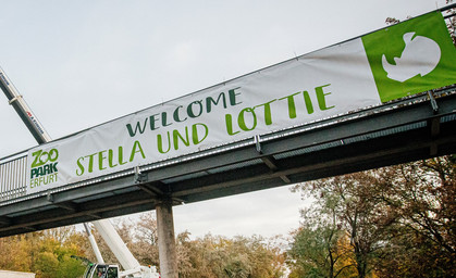 Zoopark Erfurt heißt Nashörner Stella und Lottie willkommen