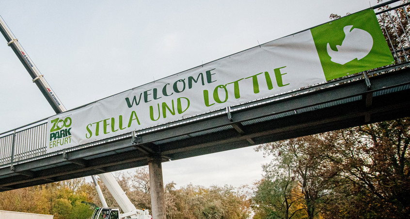 Zoopark Erfurt heißt Nashörner Stella und Lottie willkommen