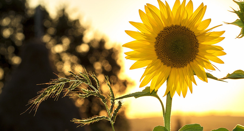 Spätsommerliche Temperaturen am Wochenende in Thüringen