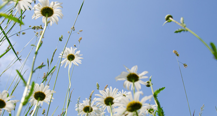 Sommerliche Temperaturen am Wochenende in Thüringen 