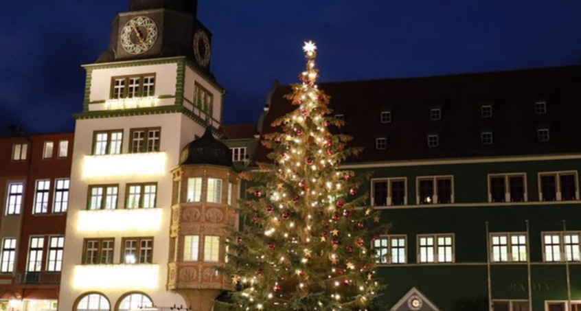 Rudolstadt sucht die nächste Top-Tanne ... oder Fichte