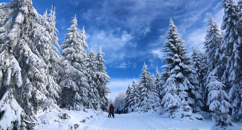 Hoffnung auf eine gute Wintersaison im Thüringer Wald 