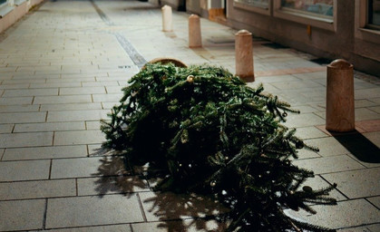 Weg mit dem Weihnachtsbaum - So geht es richtig!